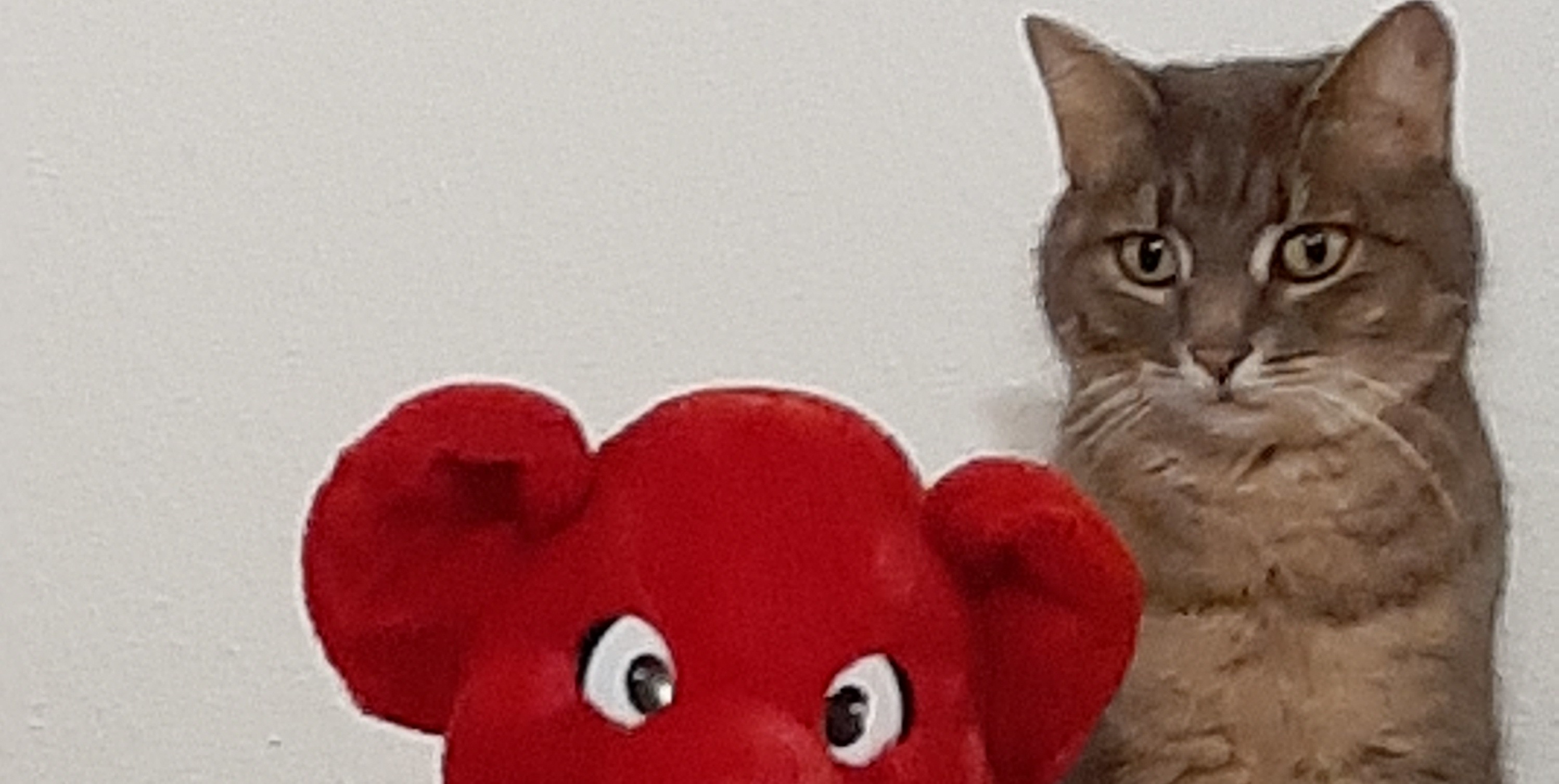 Katze Lucy